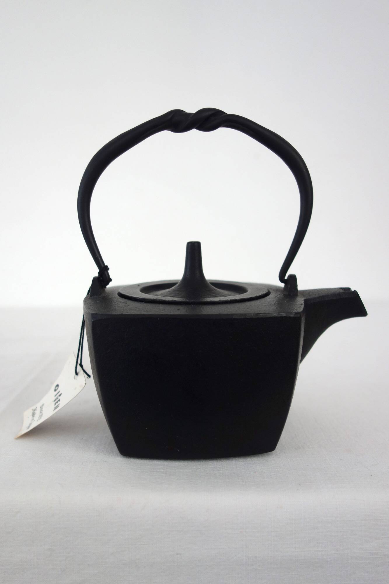 Oigen Japanese Cast Iron Teapot