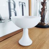 Fruit cup