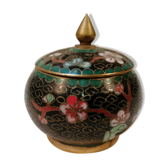 Small partitioned box or Asian case