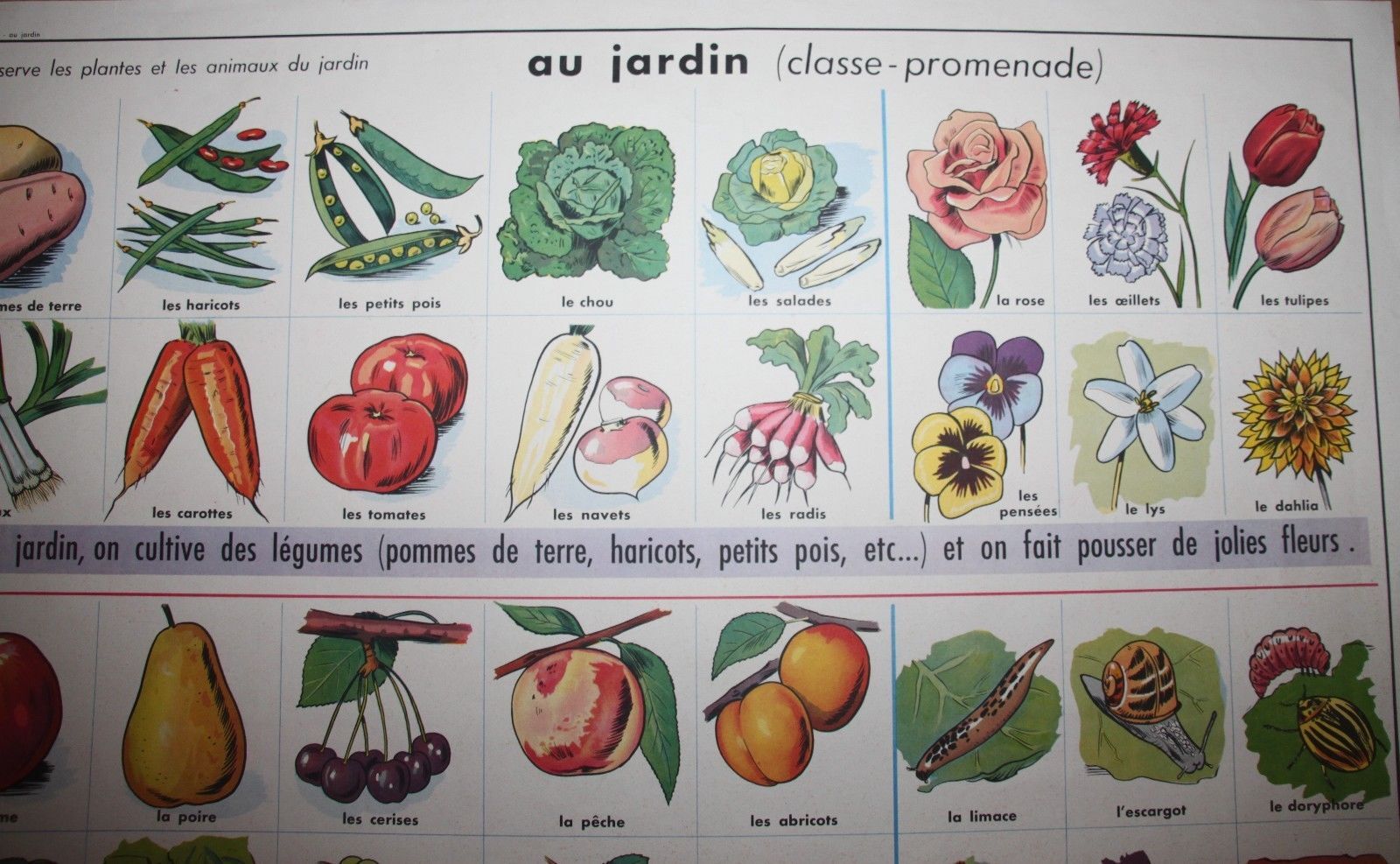 Poster school vintage MDI in the fields and garden 47 and 48