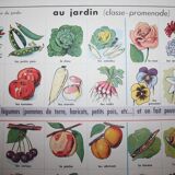 Poster school vintage MDI in the fields and garden 47 and 48