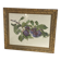 Botanical poster, Prunus Domestica, framed in glass wood.