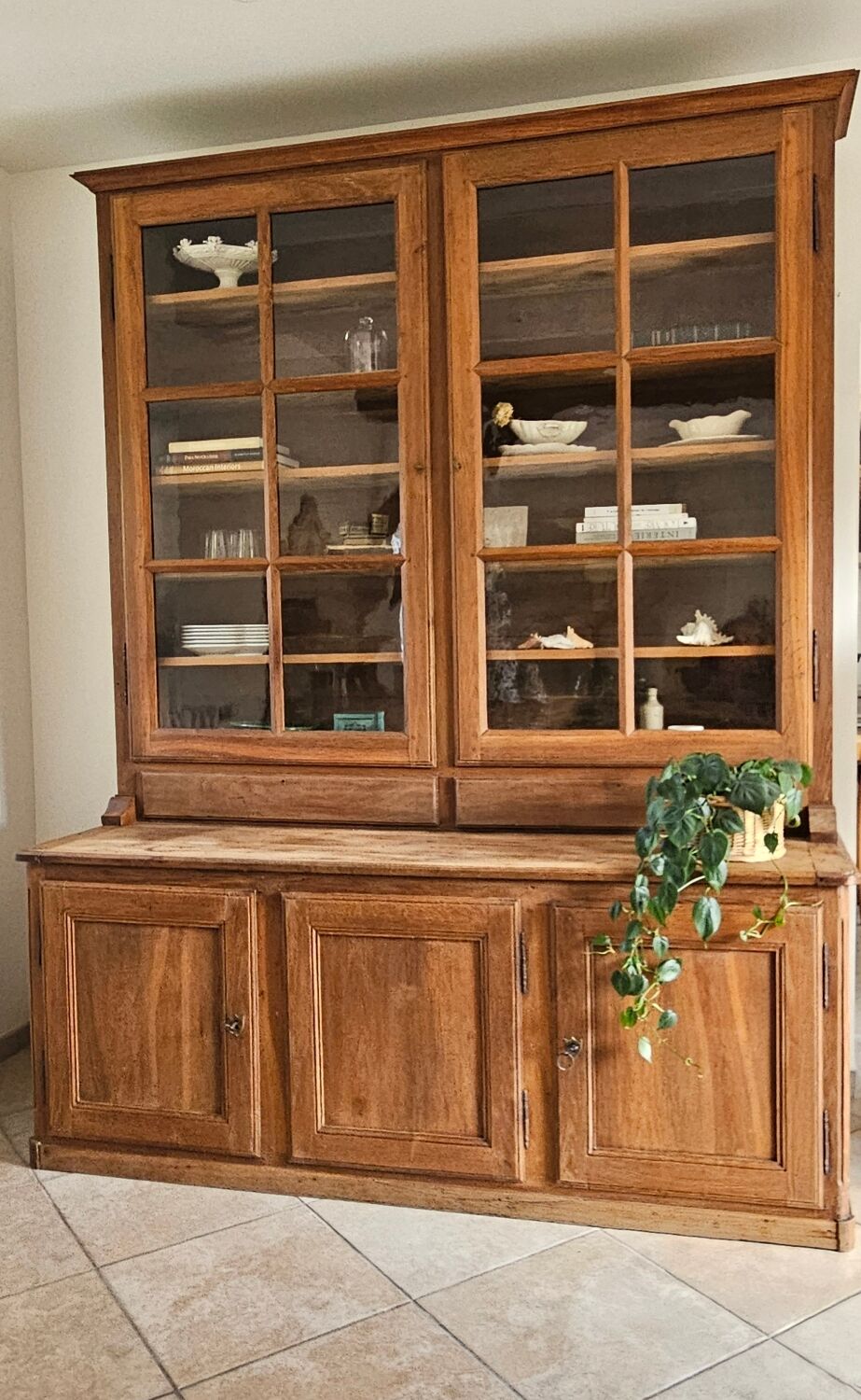 Showcase cabinet of curiosities sideboard oak