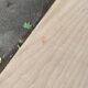 19th century monastery table renovated in raw oak 180cm