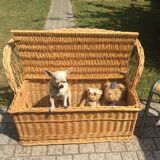 Toy box bench vintage rattan
