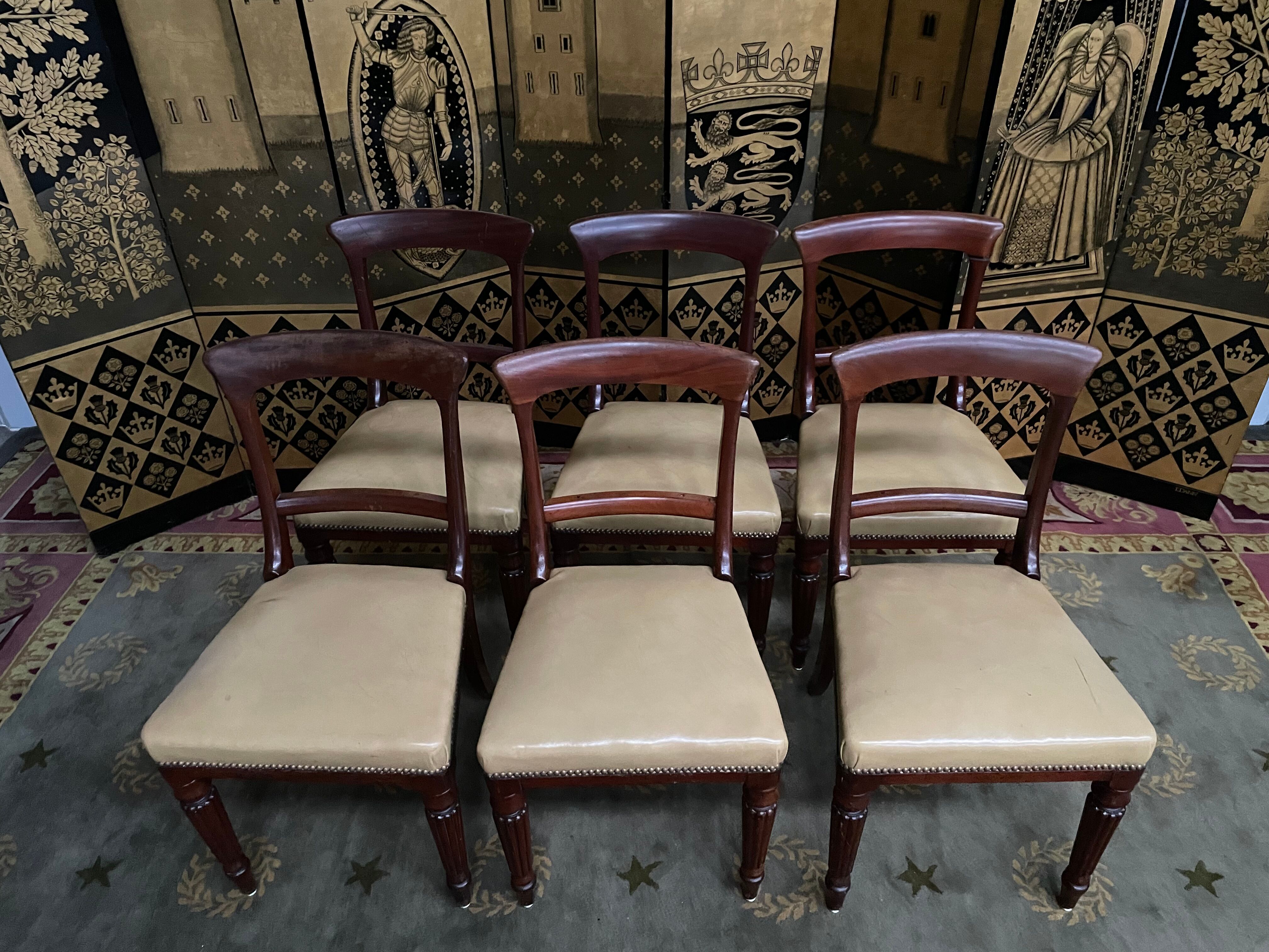 6 chaises anglaises Louis Philippe en acajou et cuir