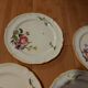 10 dessert plates painted decorated with flowers, insects (all different)