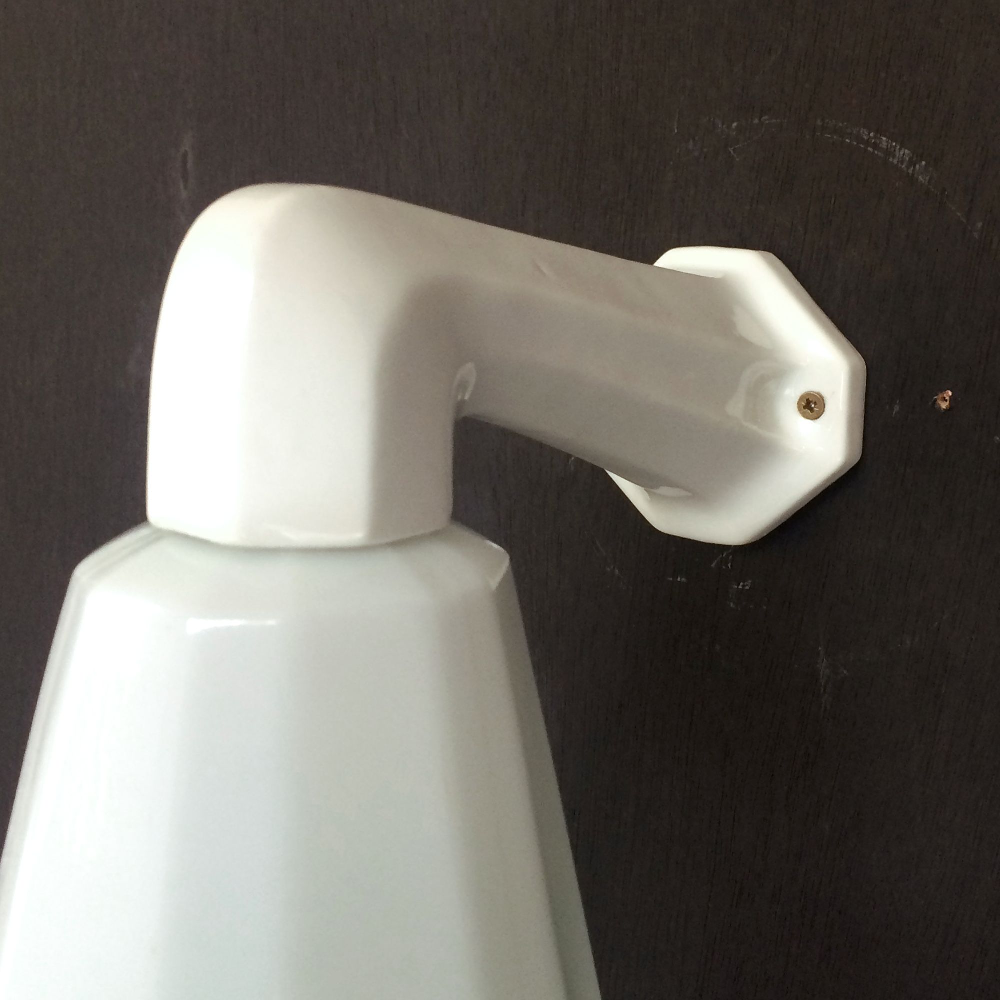 Ancient porcelain swan collar wall, old opaline glass tulip, vintage