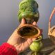 4 verres ou tasses en céramique grès émaillé vert