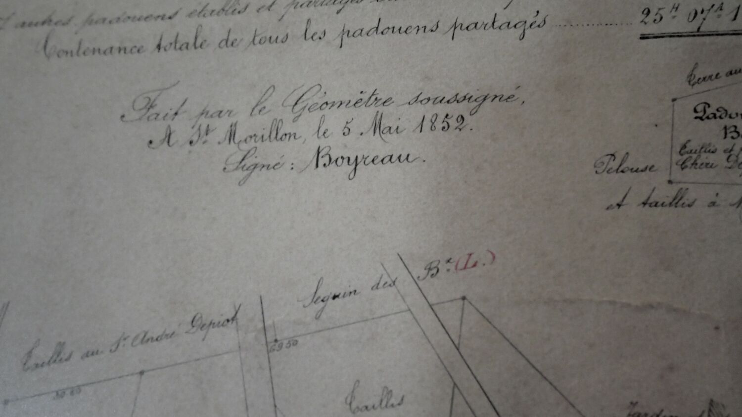 Plan cadastral "géométrique et de partage" de 1852 entoilé