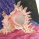 Painting, still life with shell by Cécile Angeli, 90s