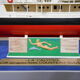 Model the calypso