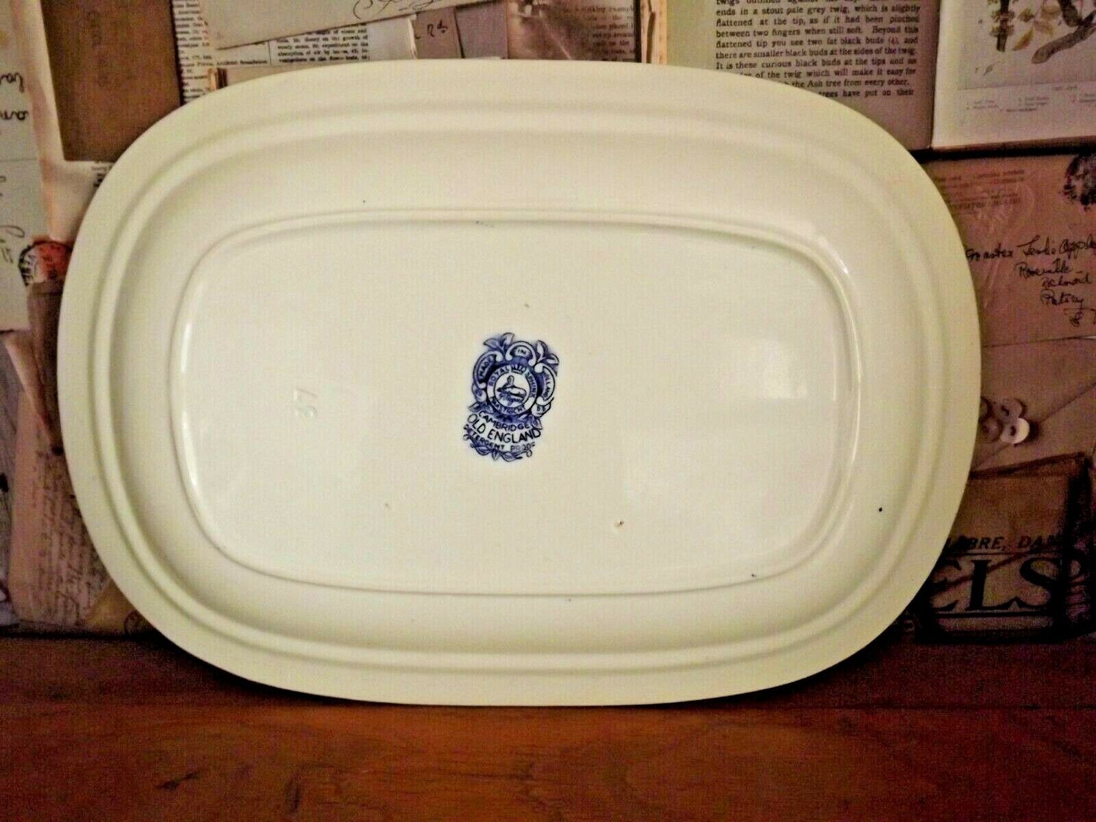 Oblong Serving Plate Dutch Royal Sphinx Maastricht Cambridge Old England 3590