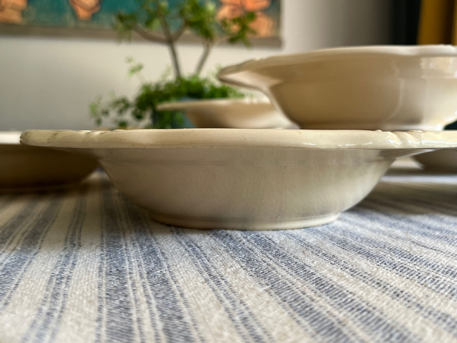 Series of 9 hollow earthenware plates Moulin des Loups