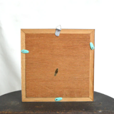 Papilio Paris Pairs butterfly frame