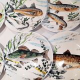 Fish plates Gien