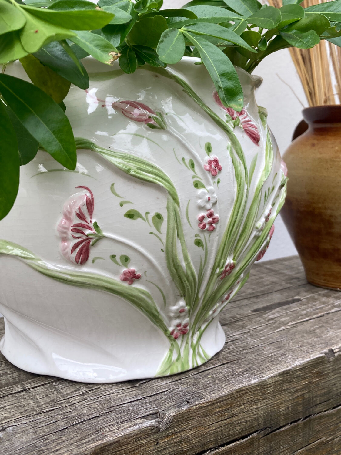 White ceramic pot cache of flower slip and old green foliage