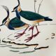 Gien service model birds in polychrome earthenware hand painted