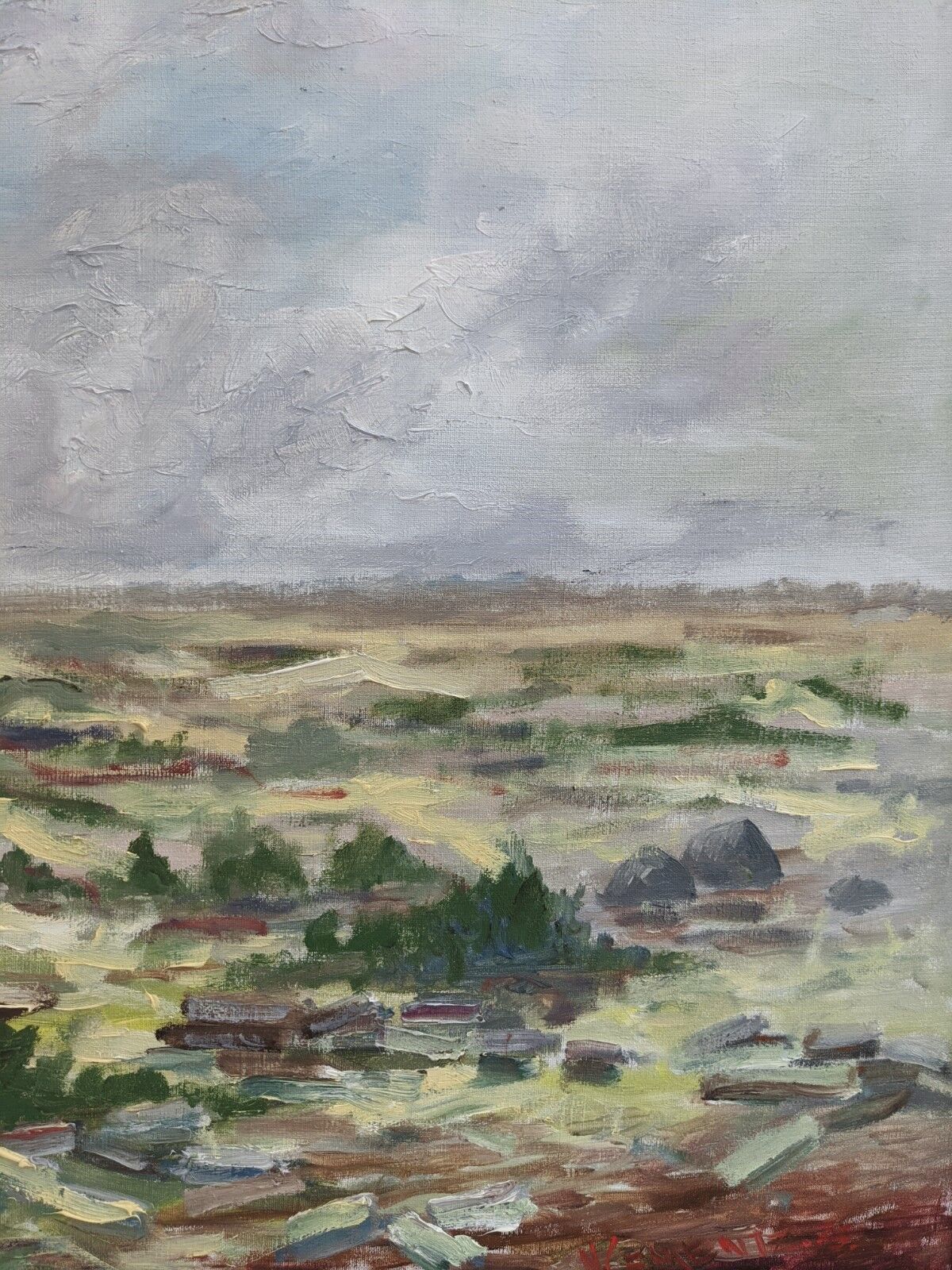 'Grasslands' - Vintage Mid Century Swedish Framed Oil Painting