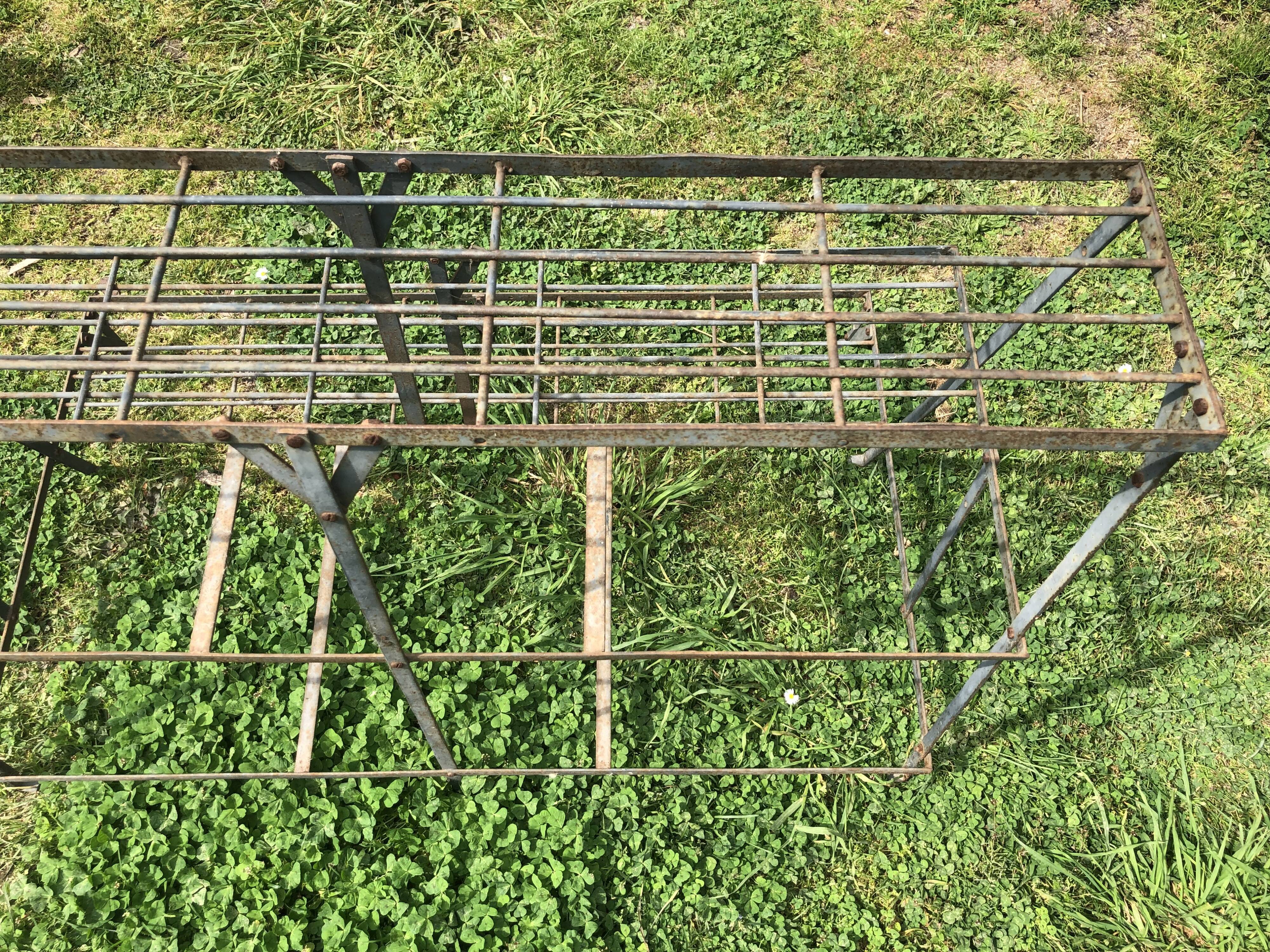 Wrought iron plant holder