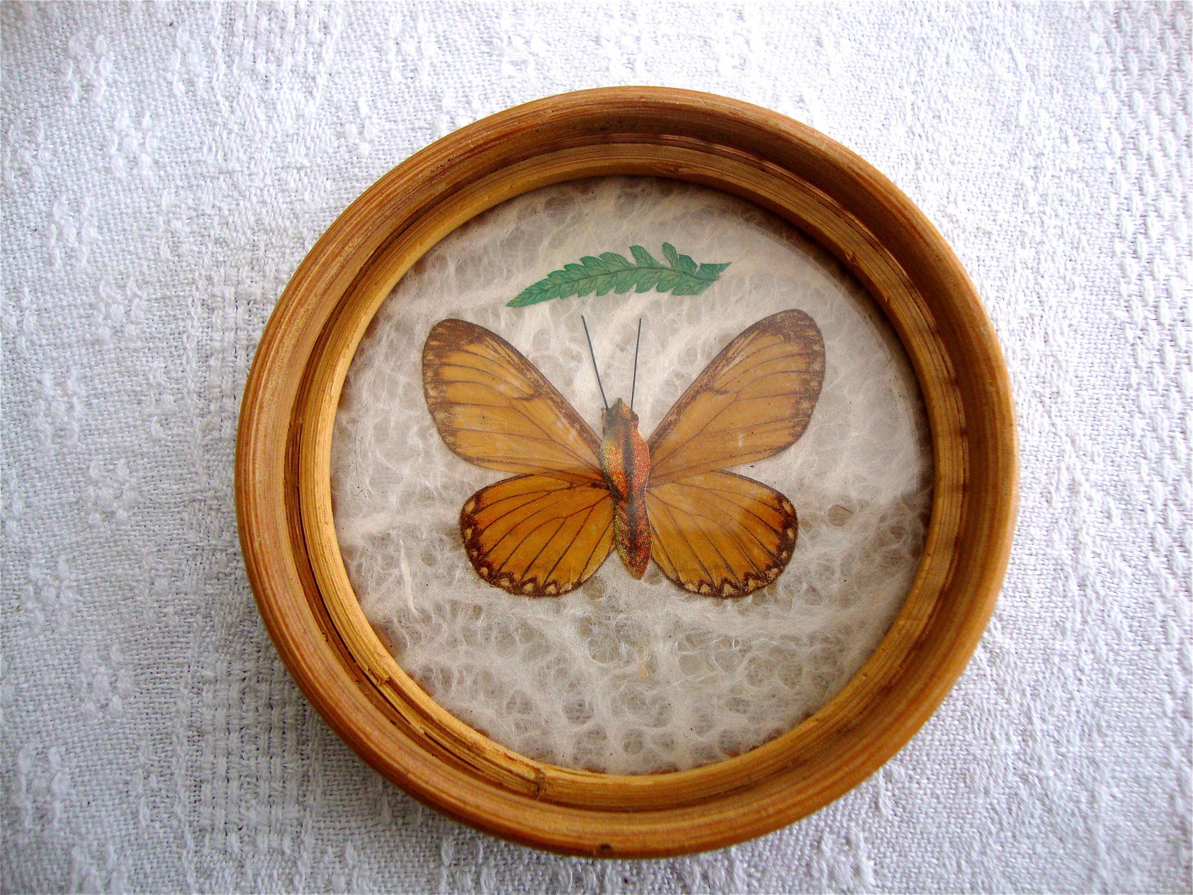 Butterfly tray and coasters