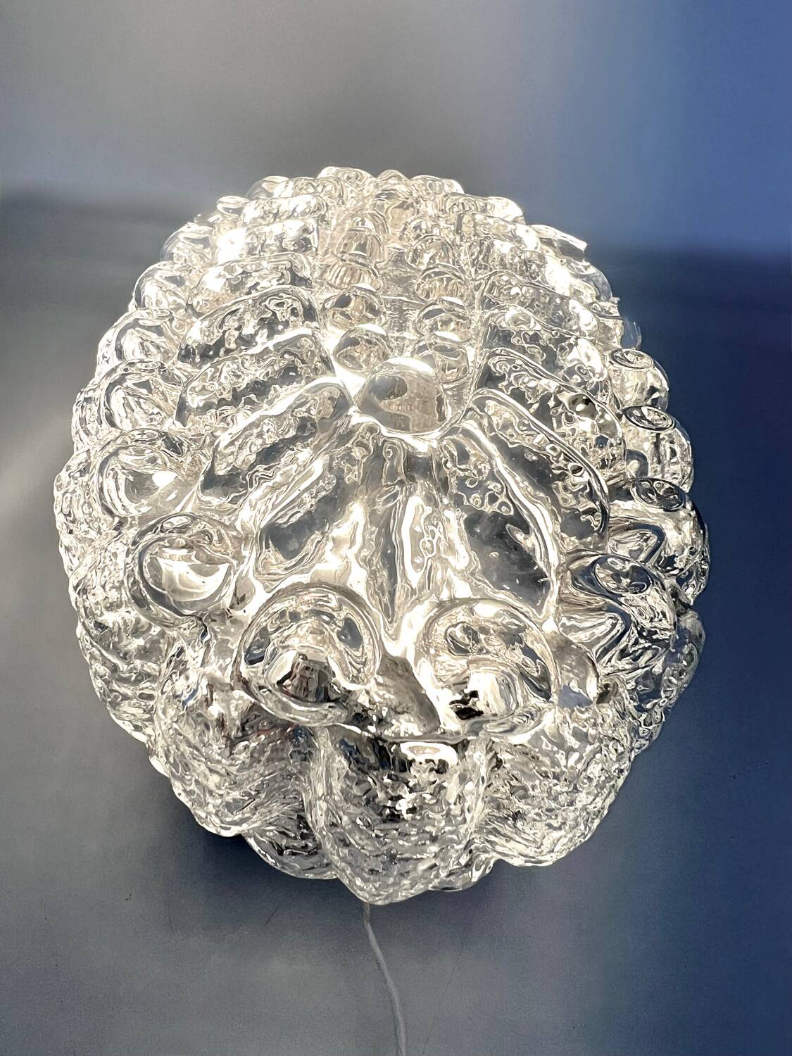 Bubble glass wall light