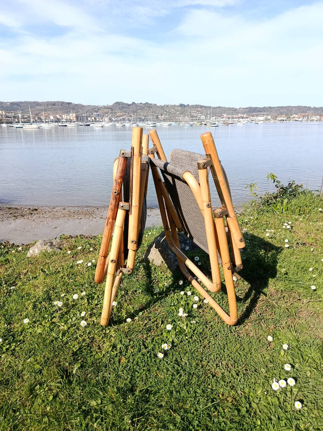 Chairs from Dal Vera