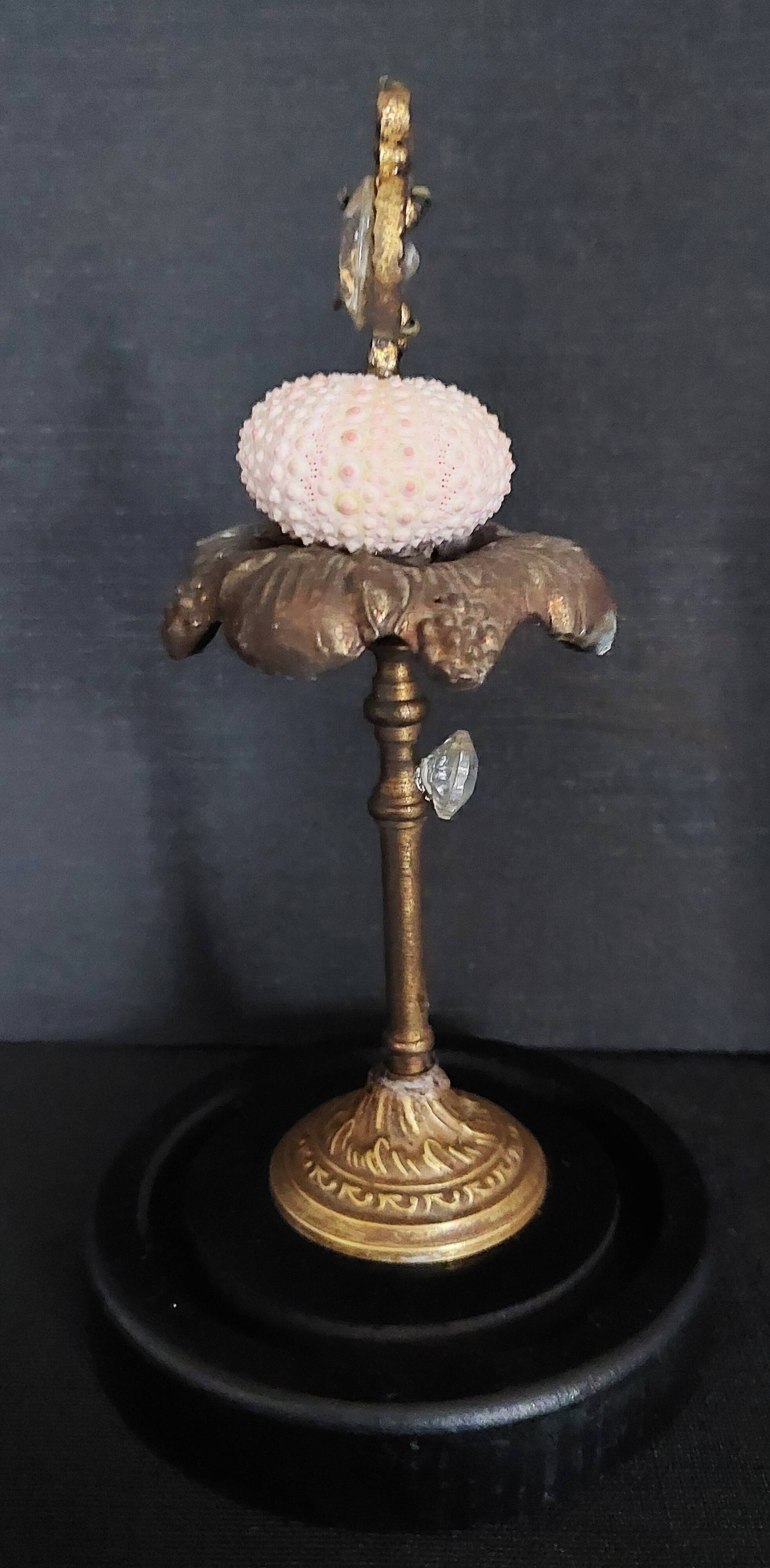 Cabinet of Curiosities globe with sea urchin paracentrotus lividus