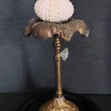 Cabinet of Curiosities globe with sea urchin paracentrotus lividus