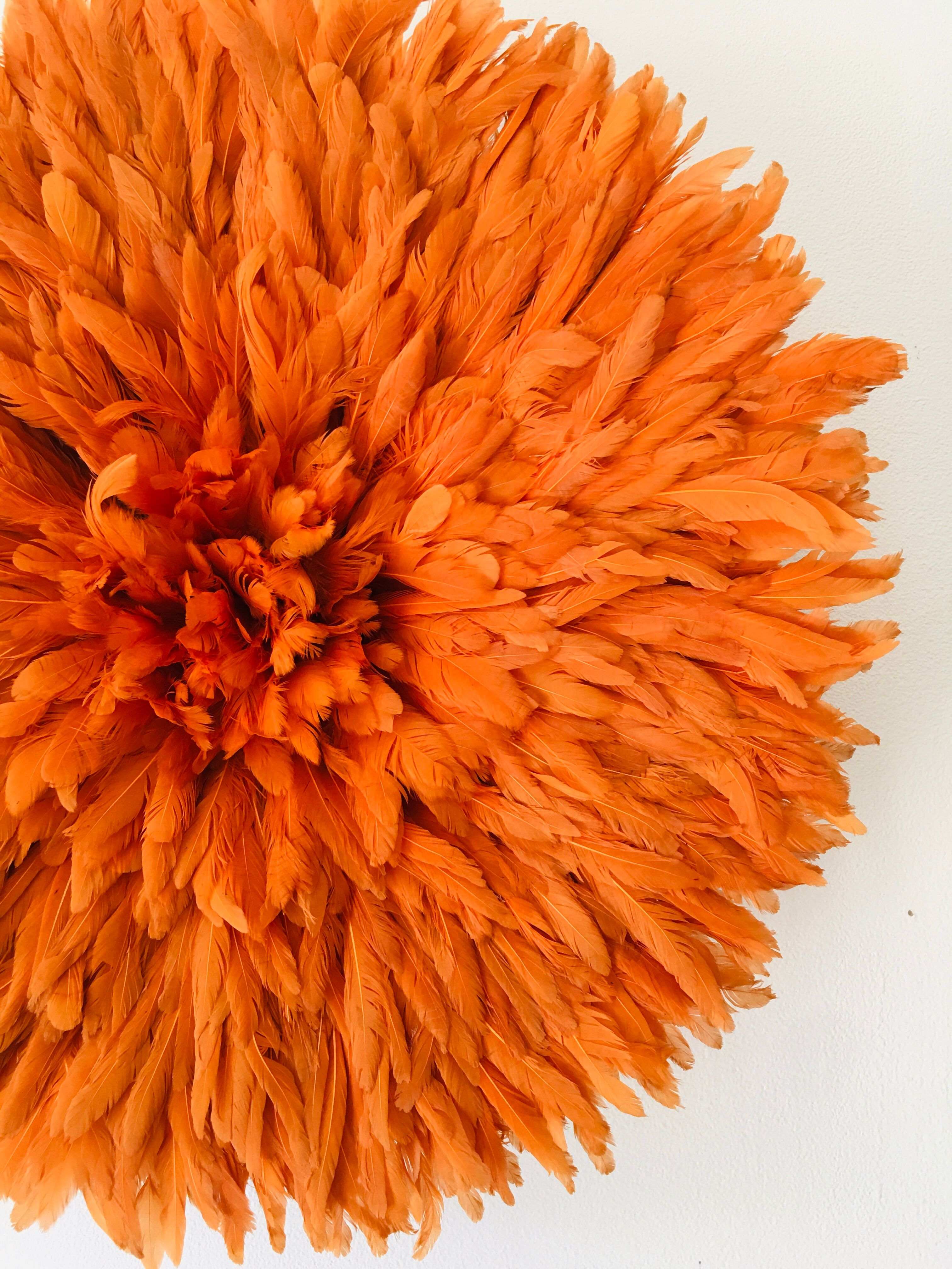 Jujuhat orange 50 cm