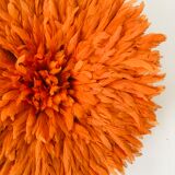 Jujuhat orange 50 cm