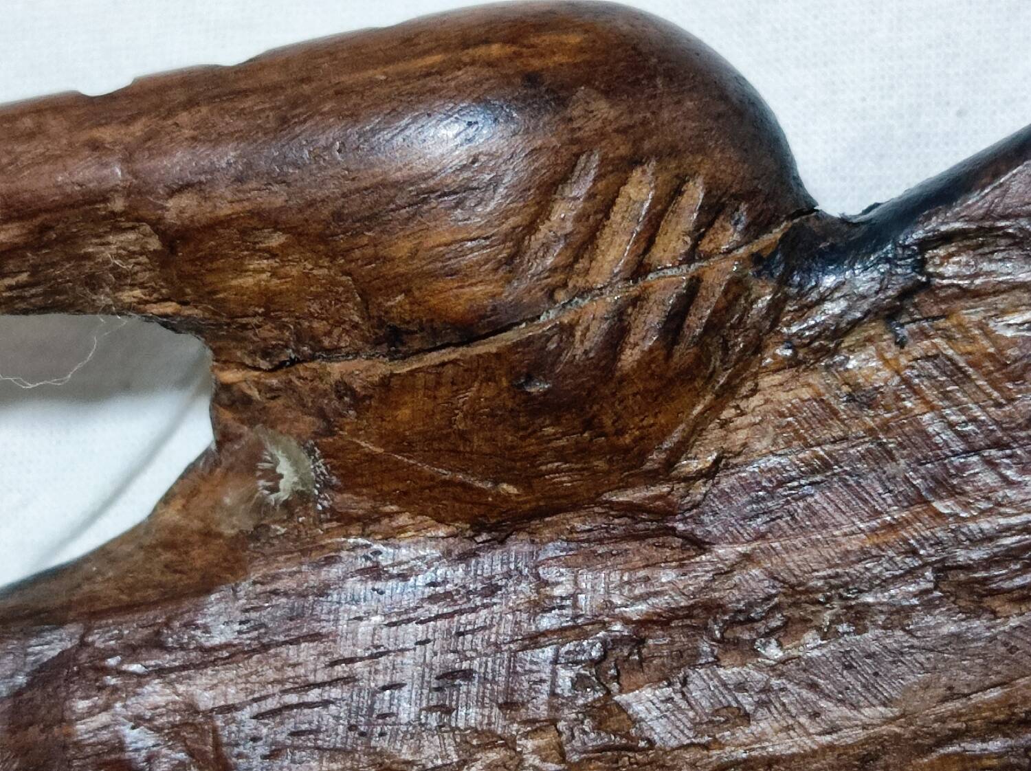 Wooden crocodile