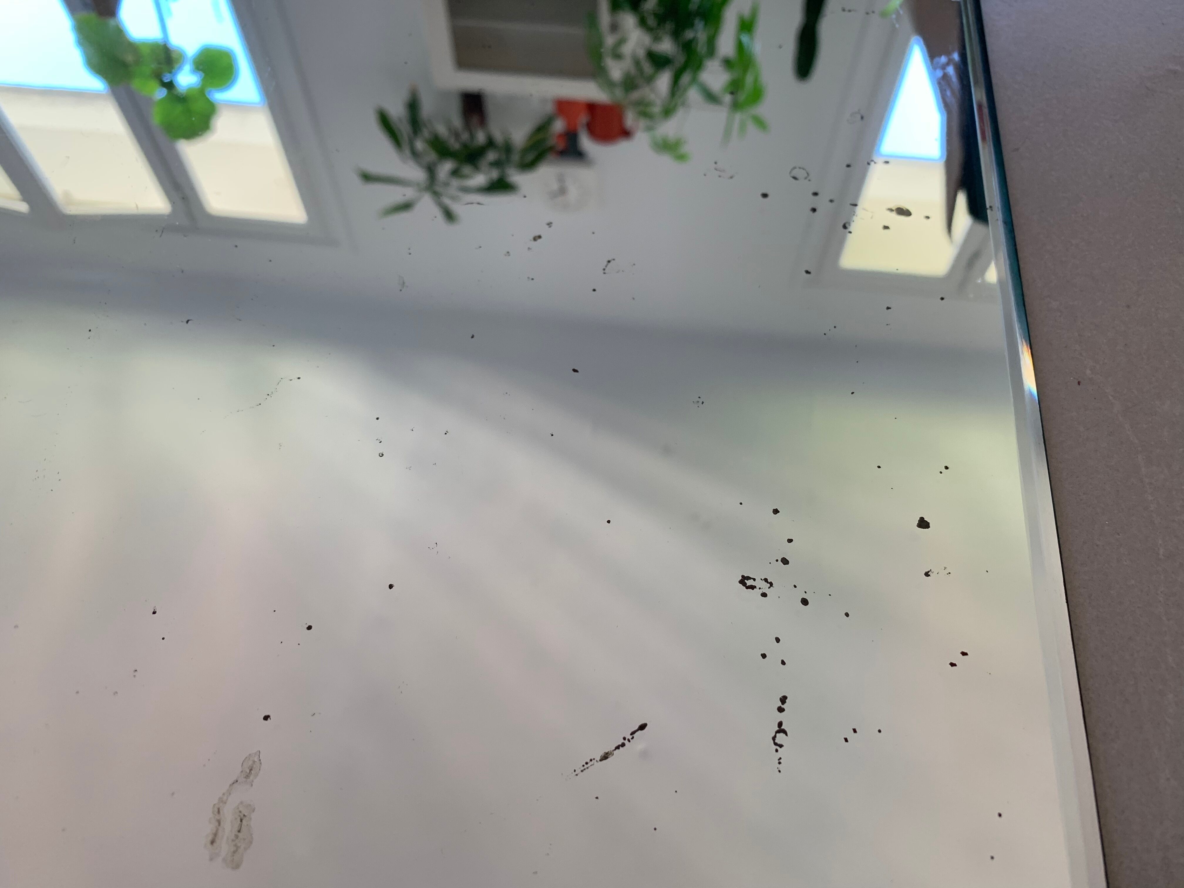 Bevelled mirror 60x42cm