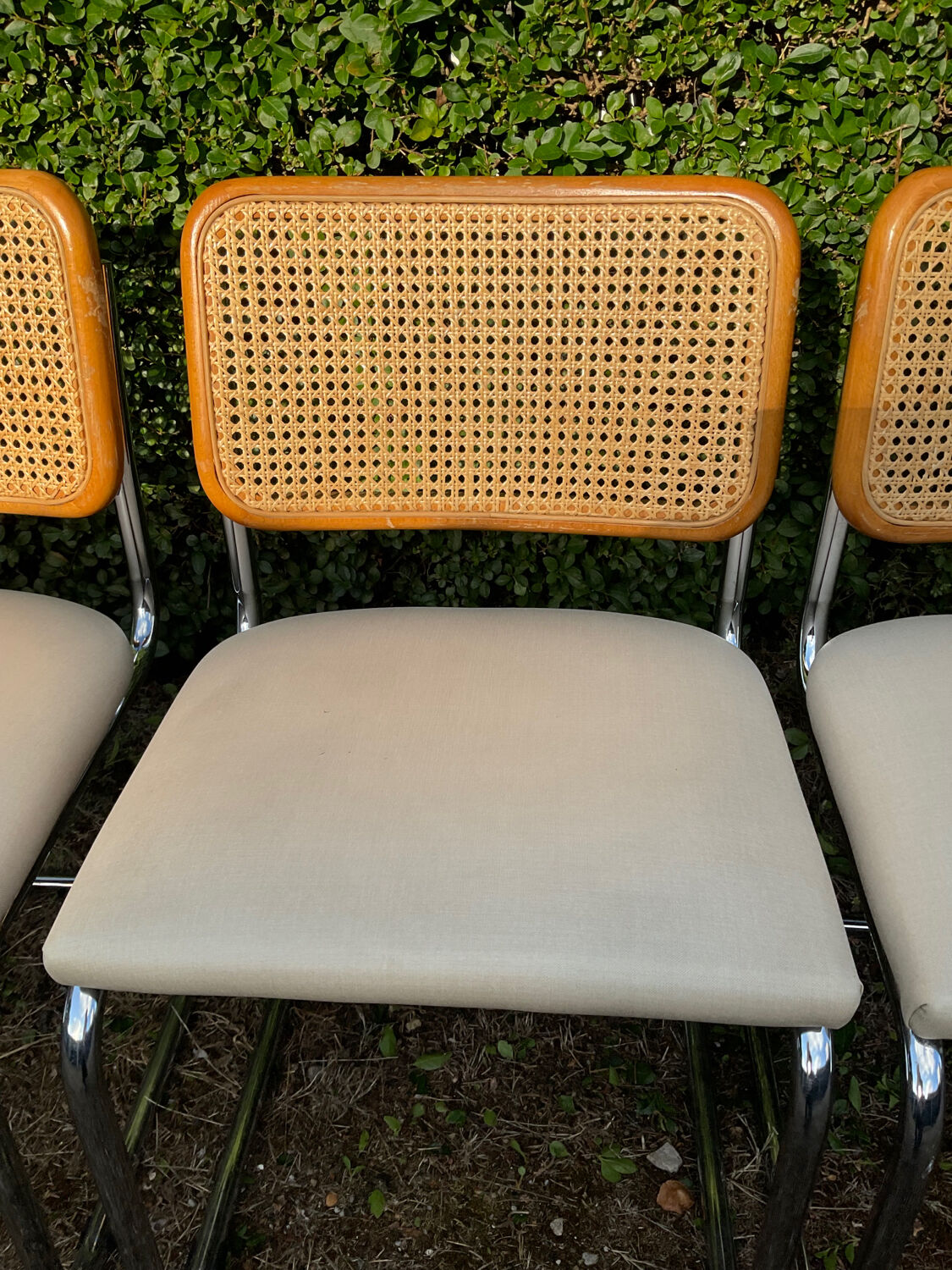 Series of 6 chairs Marcel Breuer Cesca B32