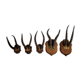 Trophies