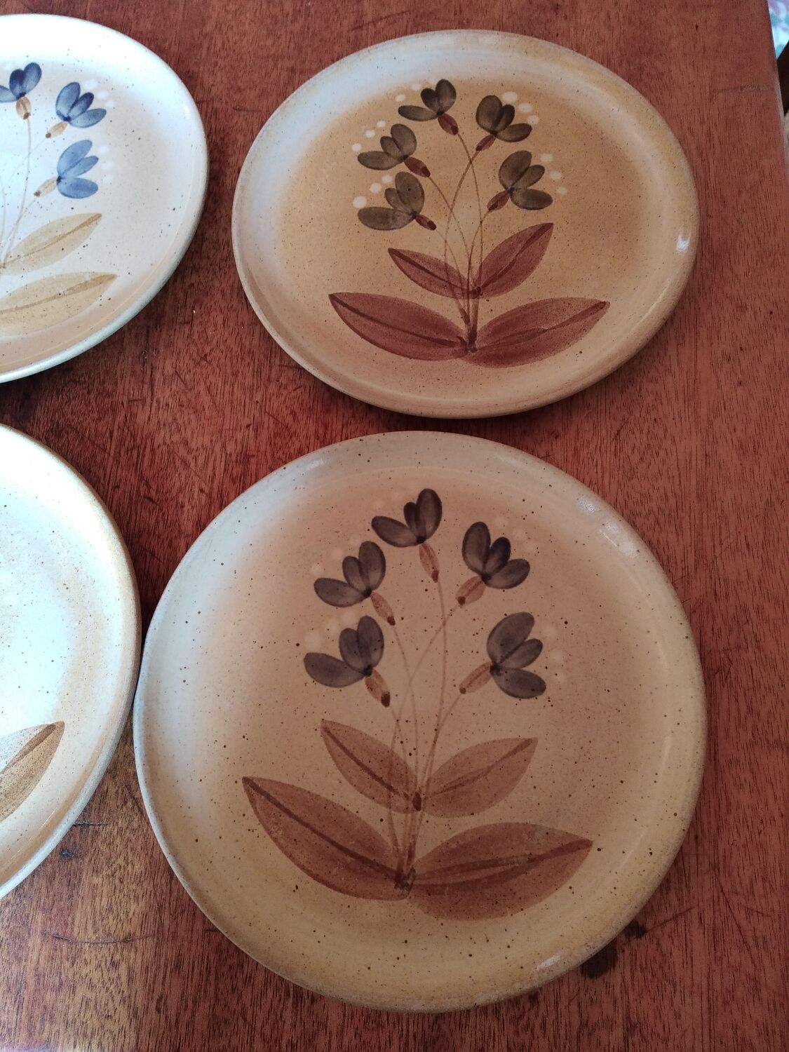 Flat plates sandstone of the marsh