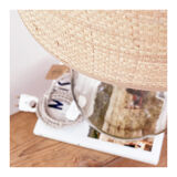 Demijohn lamp