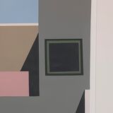 The pink house