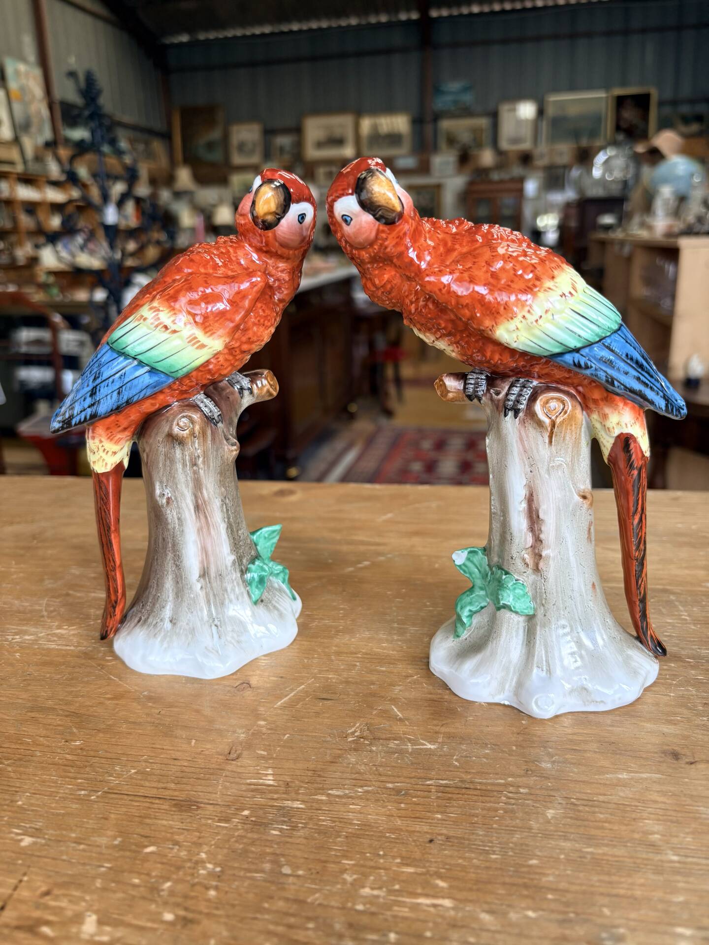 Pair of porcelain parrots Sitzendorf – Germany
