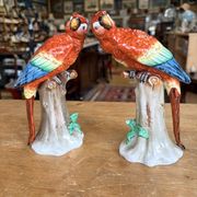 Pair of porcelain parrots Sitzendorf – Germany