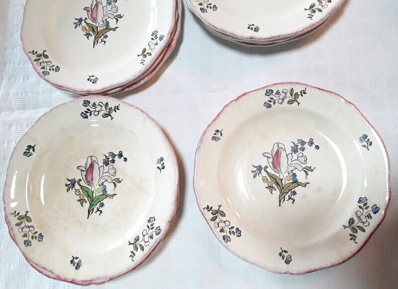 Set of 13 plates Gien earthenware 25cm