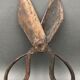 Scissors for shearing sheep