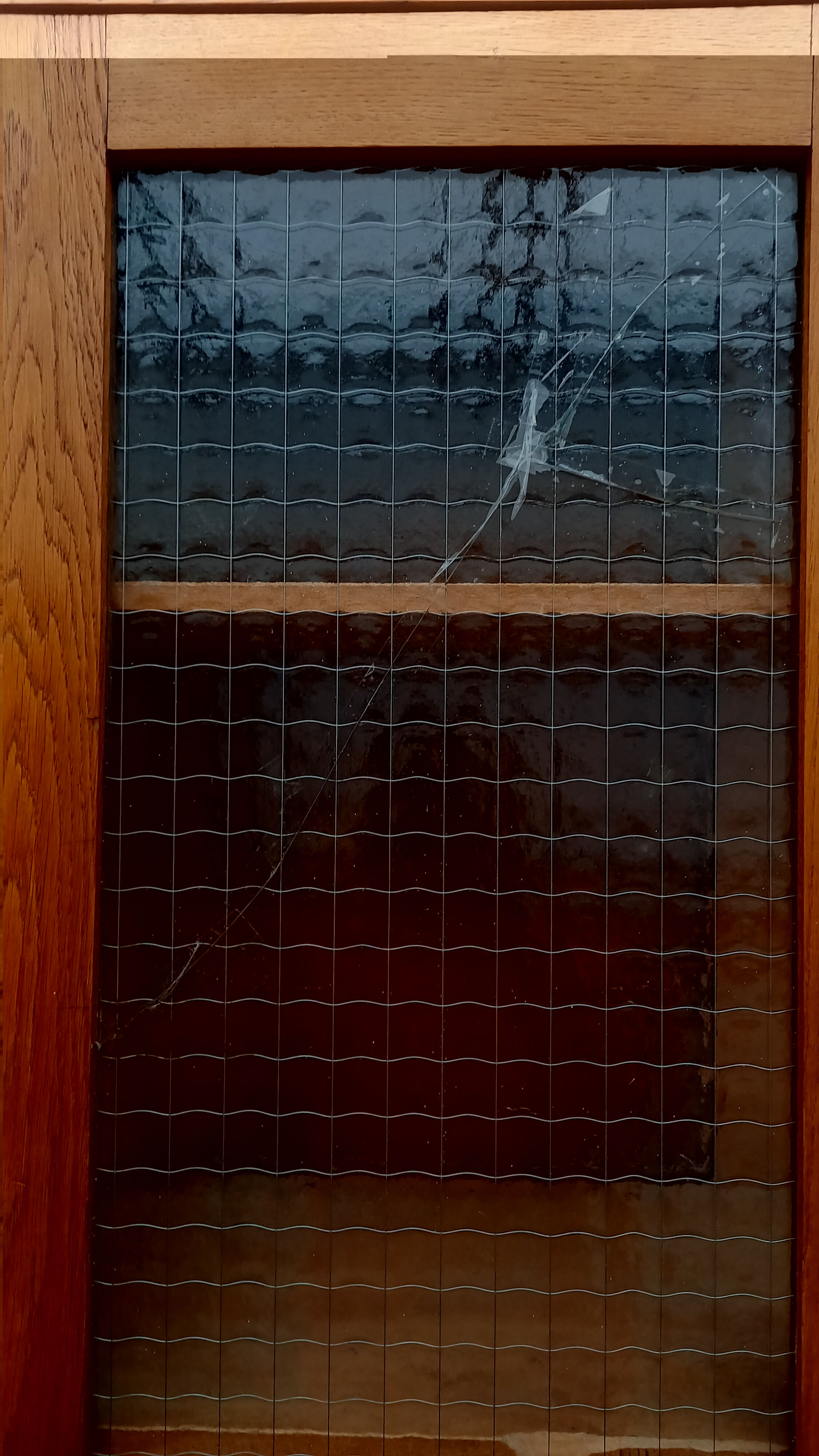 School Showcase Library - Year 1960