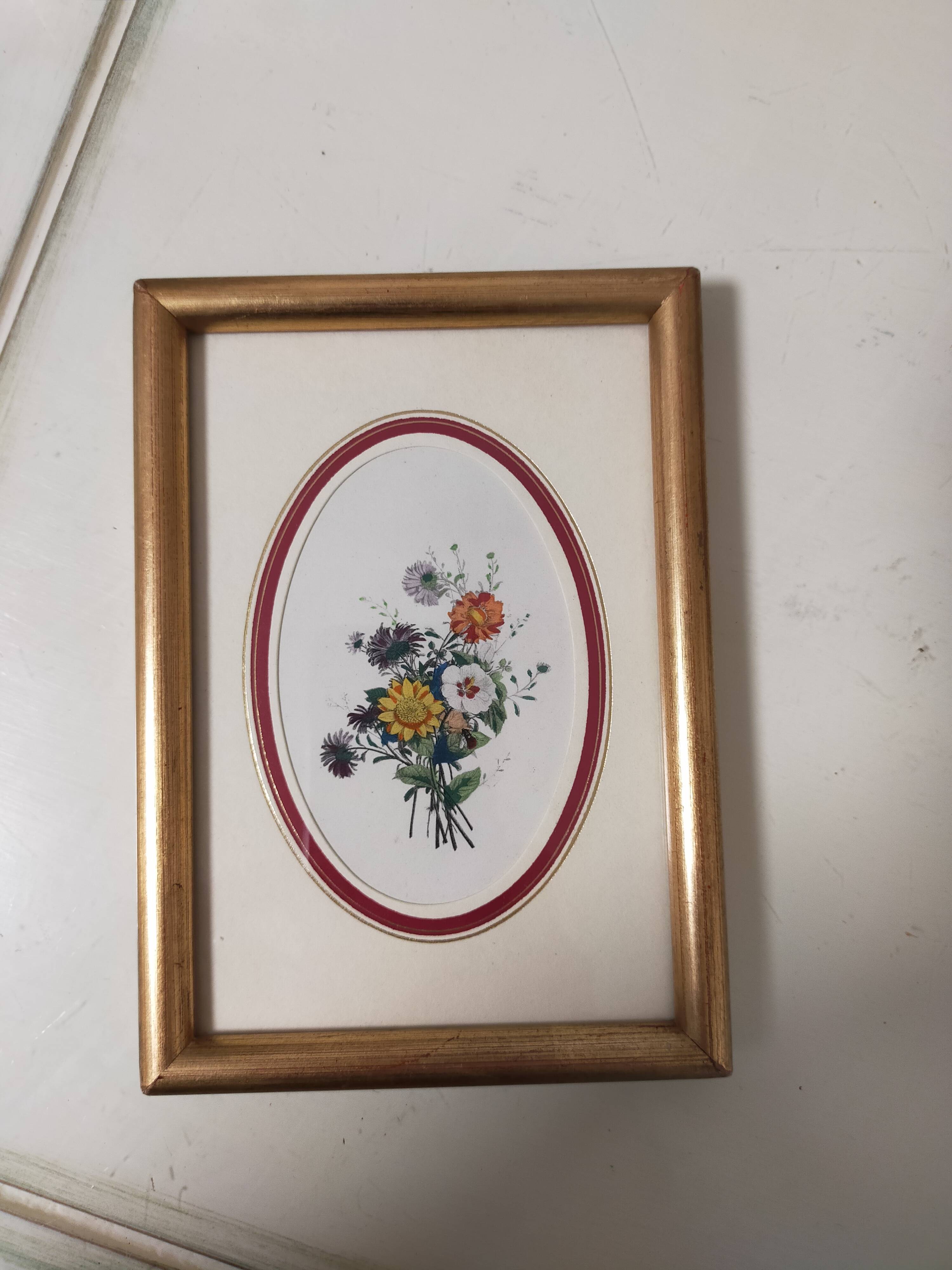 Framed antique botanical engraving with gilded wall frame