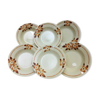 6 Vintage Hollow Plates in Earthenware