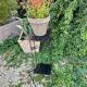 Plant stand shelf