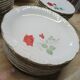 Service of 36 pieces Digoin Sevigne