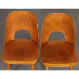 Suite of 4 vintage chairs by Oswald Haerdtl for Ton, 1960