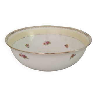 Limoges enamel porcelain salad bowl