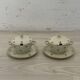 Bohemia Royal Ivory porcelain dinnerware set 1900